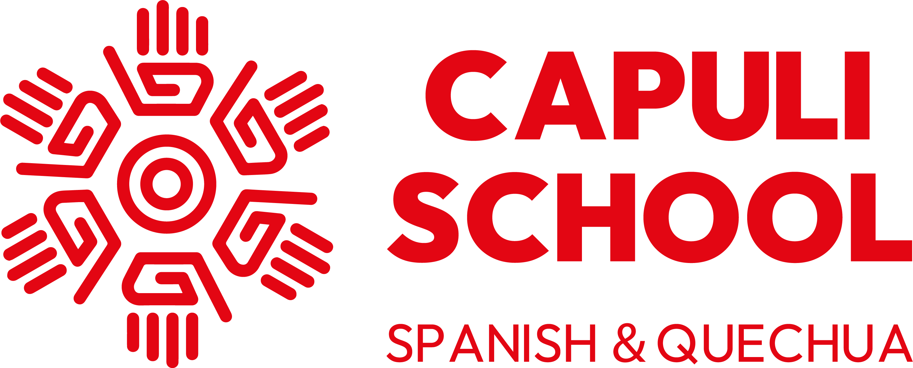 CAPULI SCHOOL logo